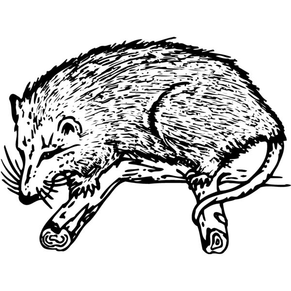 POSSUM01 Thumbnail